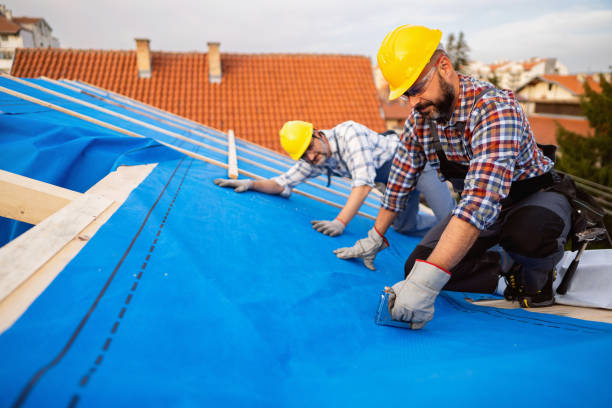 Best New Roof Installation  in Rion Center, MA