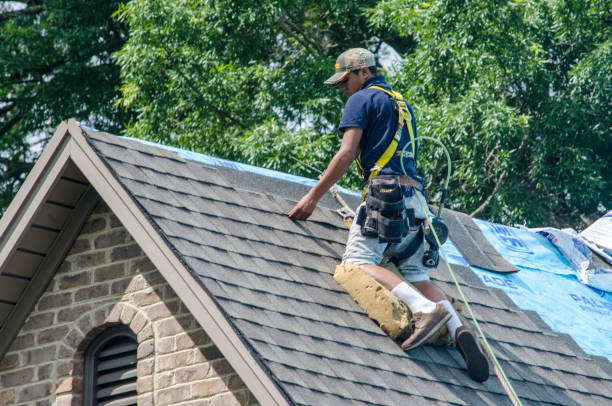 Best Roof Gutter Cleaning  in Rion Center, MA